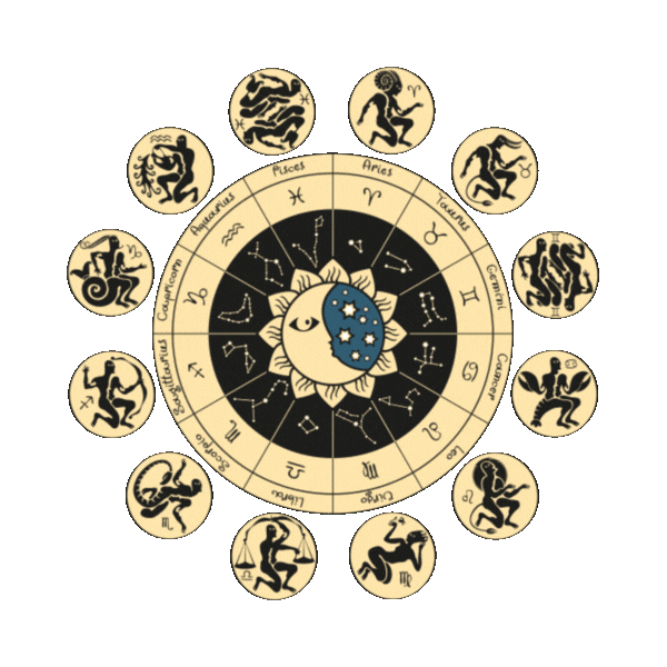 Best Astrologer in India